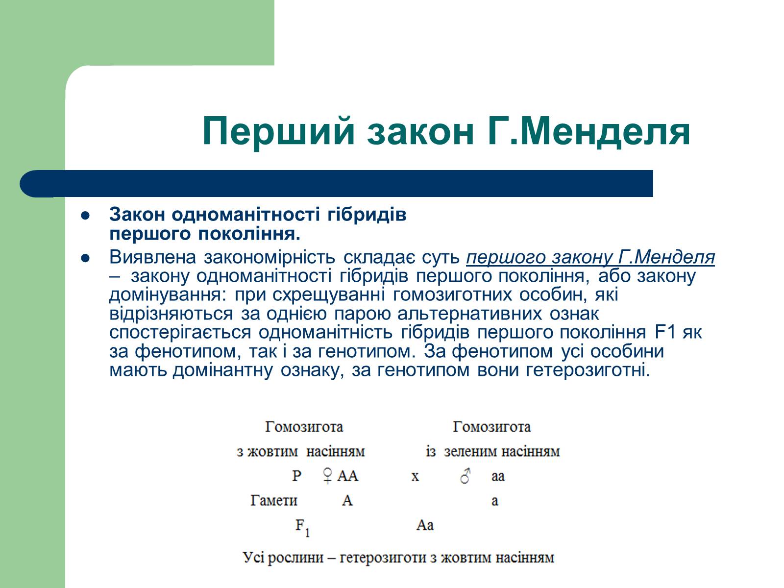 Презентація на тему «Гетерозиготні особини» - Слайд #6 Презентація на тему «Гетерозиготні особини» - Слайд #6