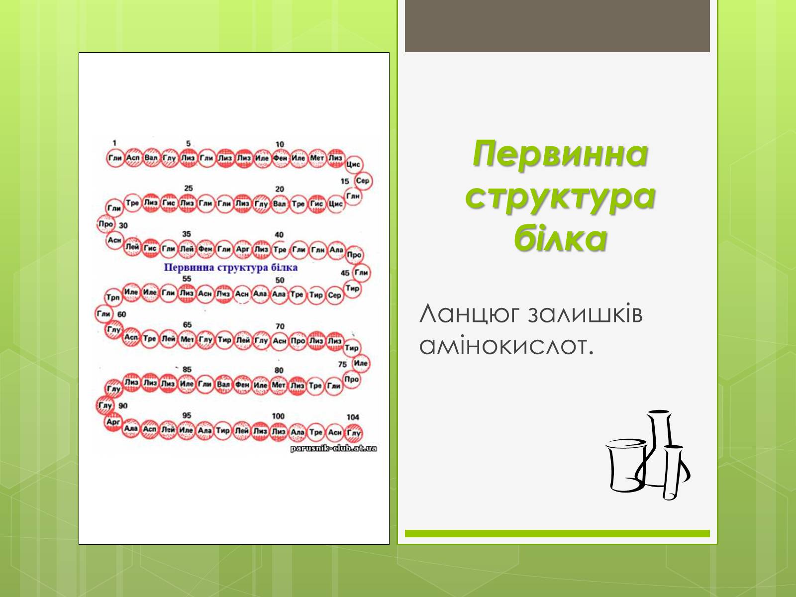 Презентація на тему «Білки» (варіант 3) - Слайд #6 Презентація на тему «Білки» (варіант 3) - Слайд #6