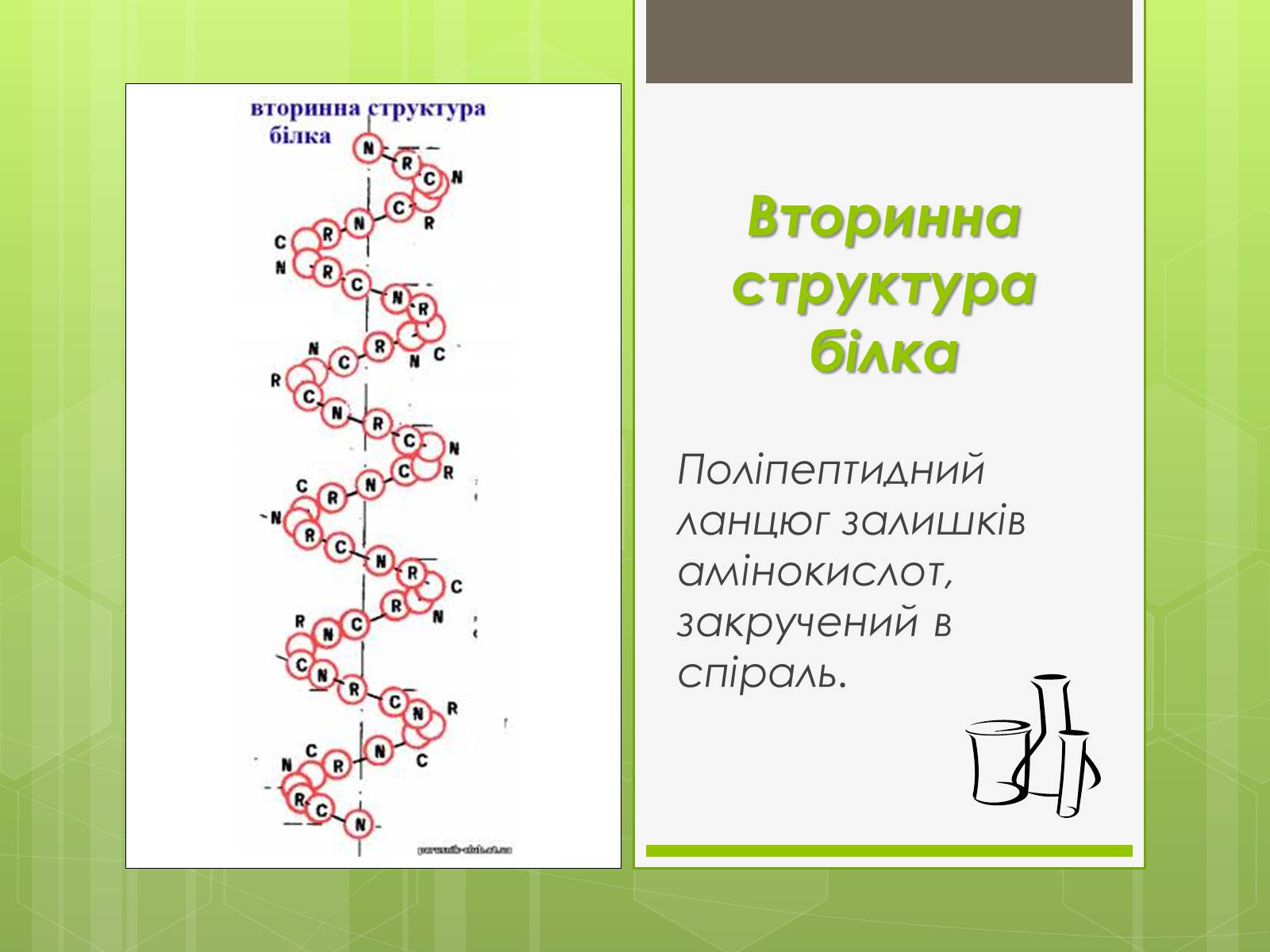 Презентація на тему «Білки» (варіант 3) - Слайд #7 Презентація на тему «Білки» (варіант 3) - Слайд #7