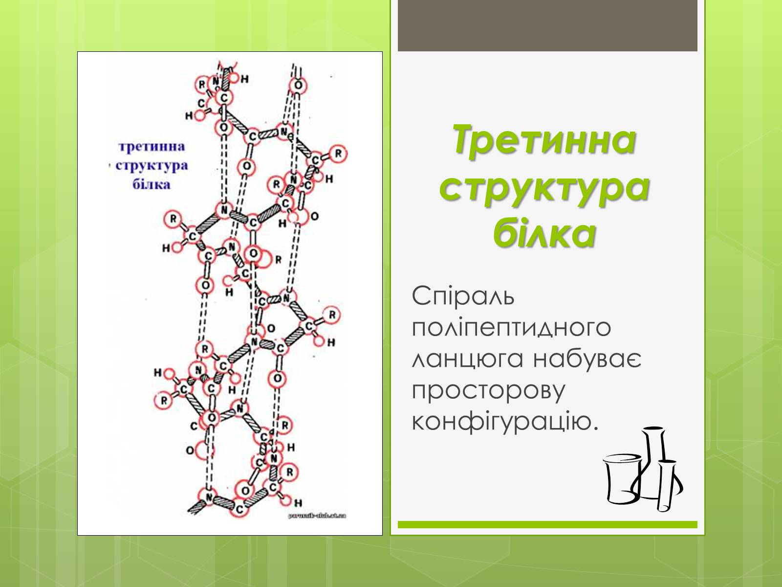 Презентація на тему «Білки» (варіант 3) - Слайд #8 Презентація на тему «Білки» (варіант 3) - Слайд #8