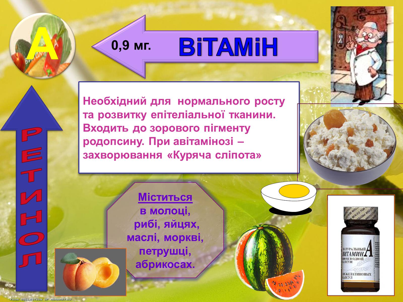 Презентація на тему «Вітаміни» (варіант 1) - Слайд #14 Презентація на тему «Вітаміни» (варіант 1) - Слайд #14