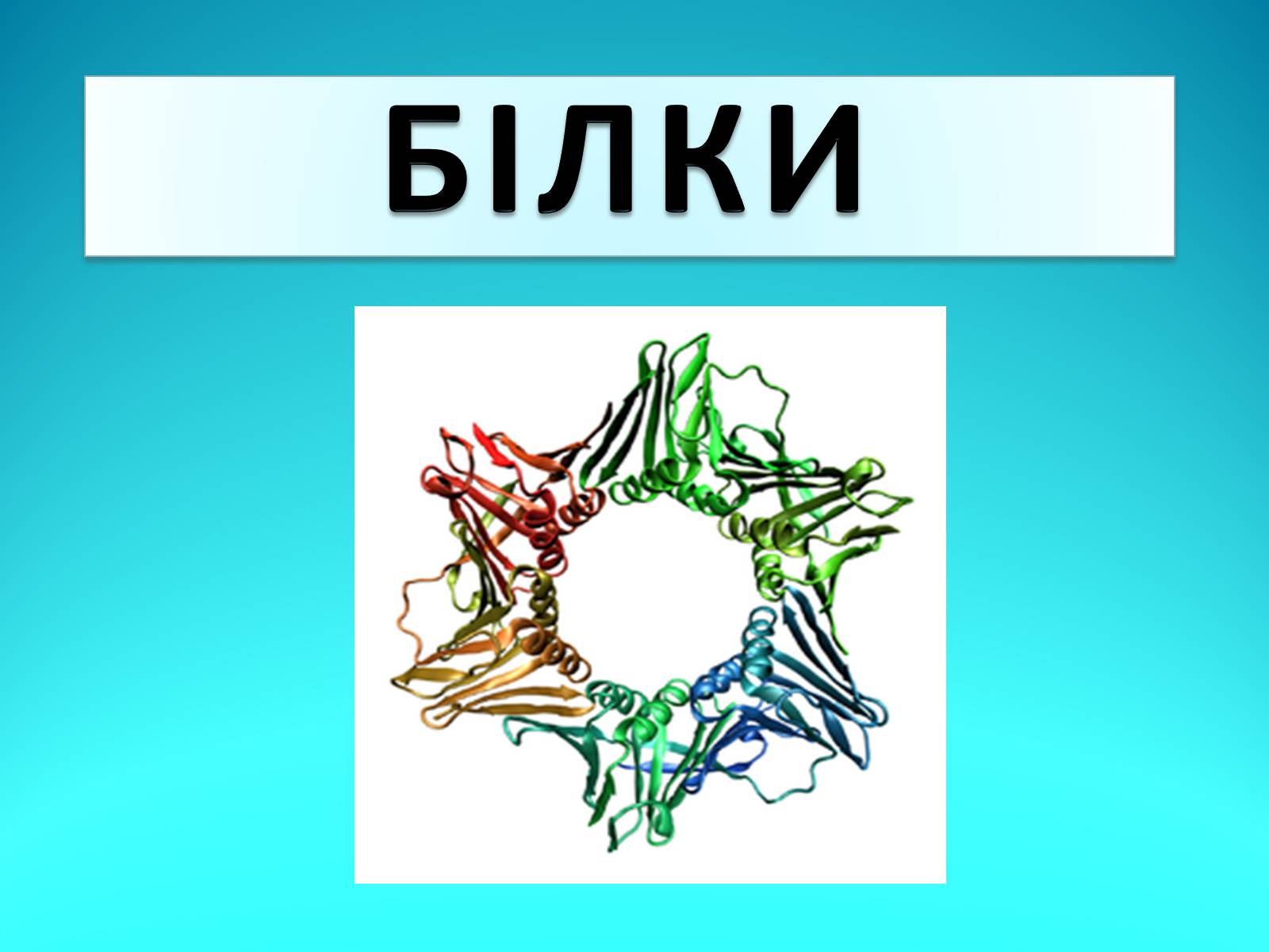Презентація на тему «Білки» (варіант 11) - Слайд #1 Презентація на тему «Білки» (варіант 11) - Слайд #1