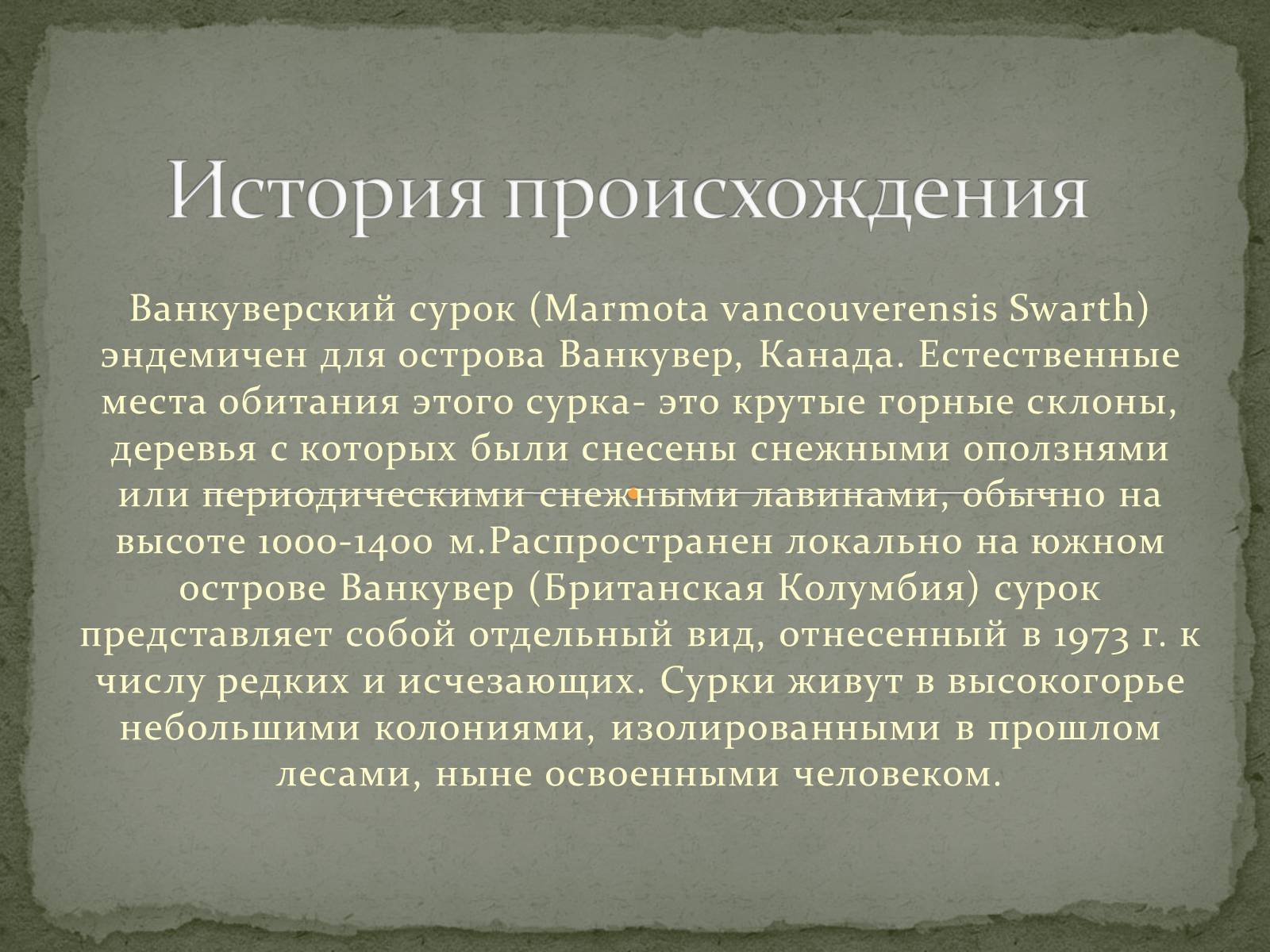 Презентація на тему «Ванкуверский сурок» - Слайд #4 Презентація на тему «Ванкуверский сурок» - Слайд #4
