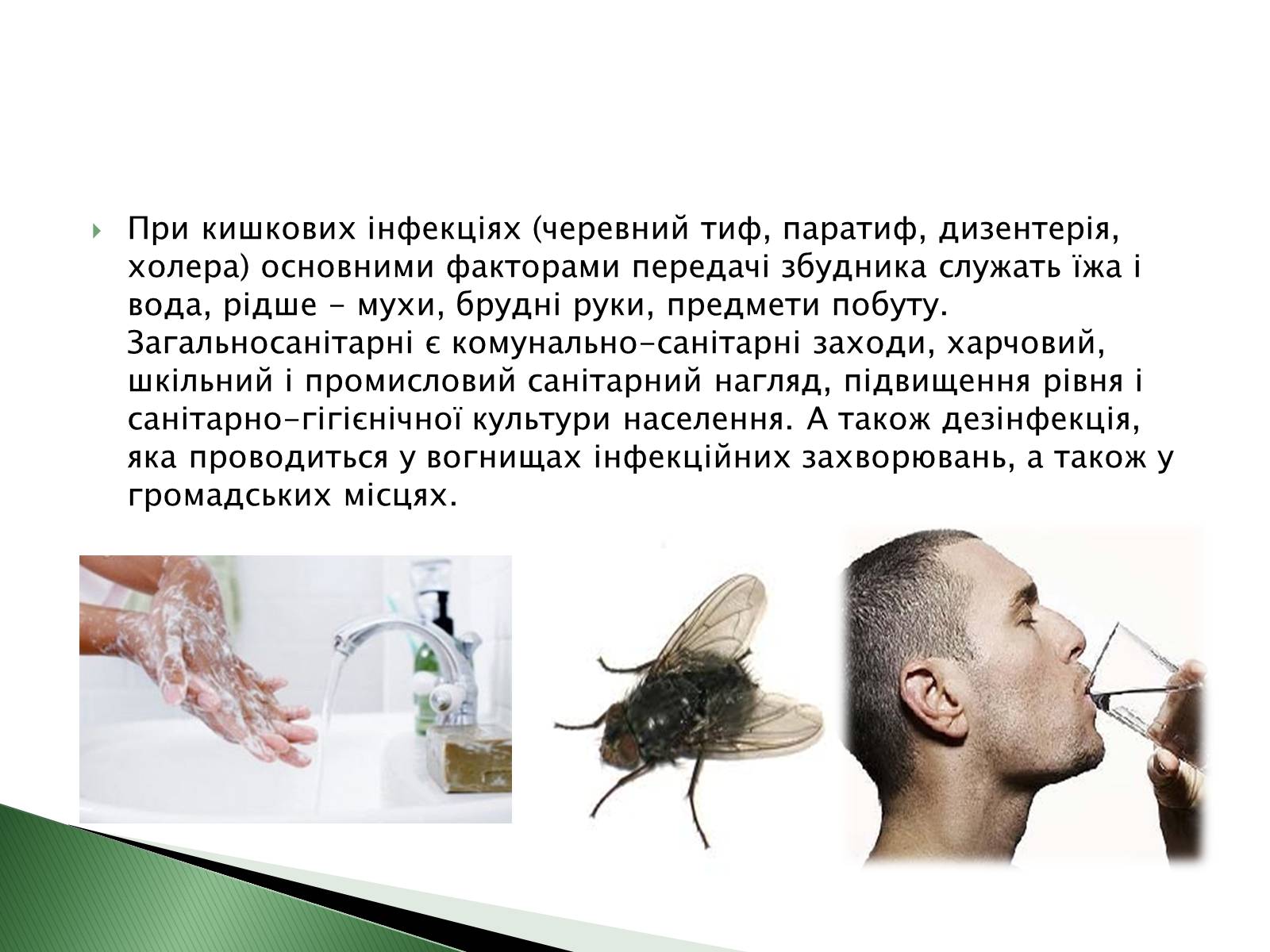 Презентація на тему «Профілактика інфекційних захворювань» (варіант 4) - Слайд #7 Презентація на тему «Профілактика інфекційних захворювань» (варіант 4) - Слайд #7