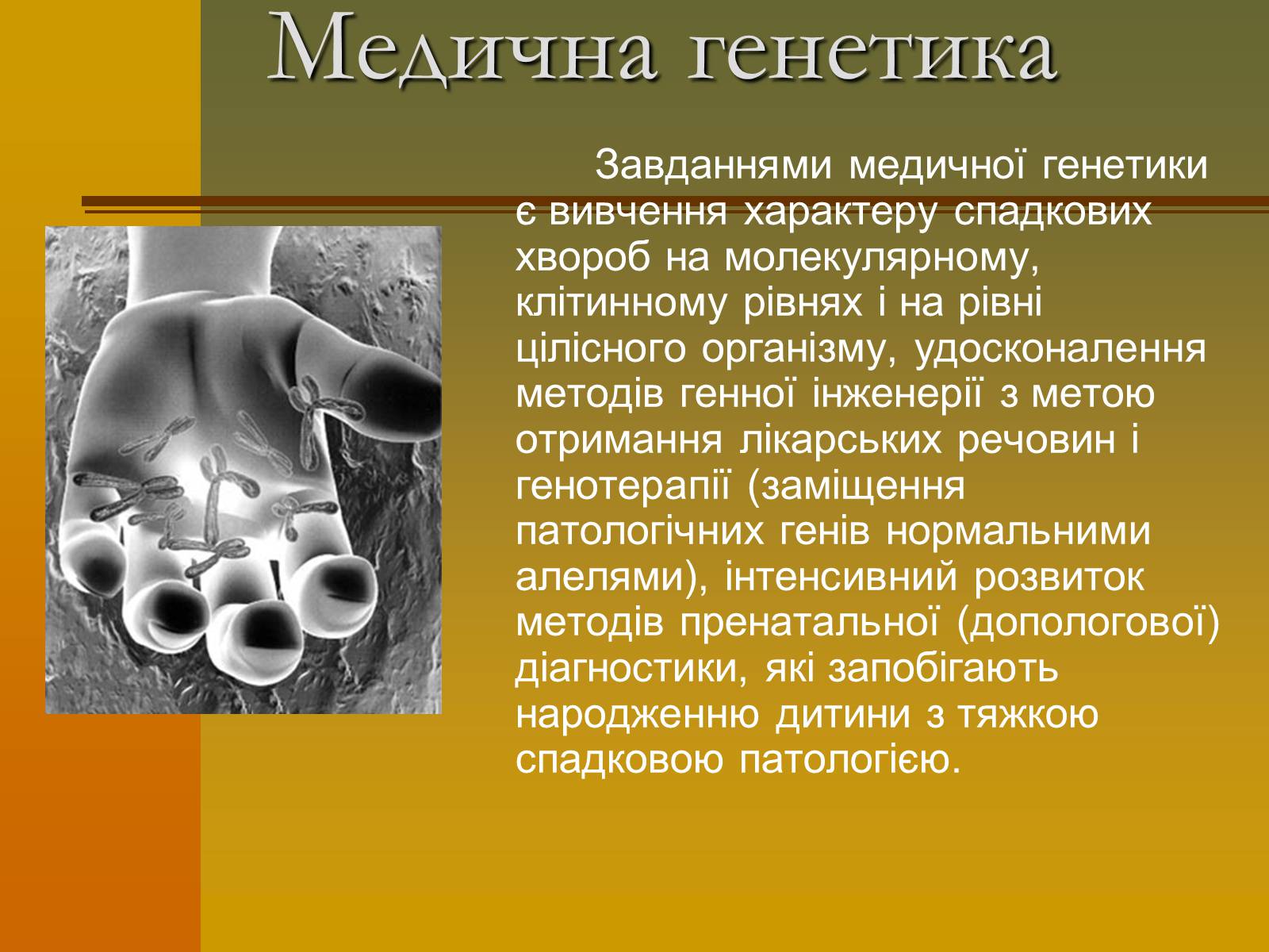 Презентація на тему «Генетика» (варіант 6) - Слайд #5 Презентація на тему «Генетика» (варіант 6) - Слайд #5