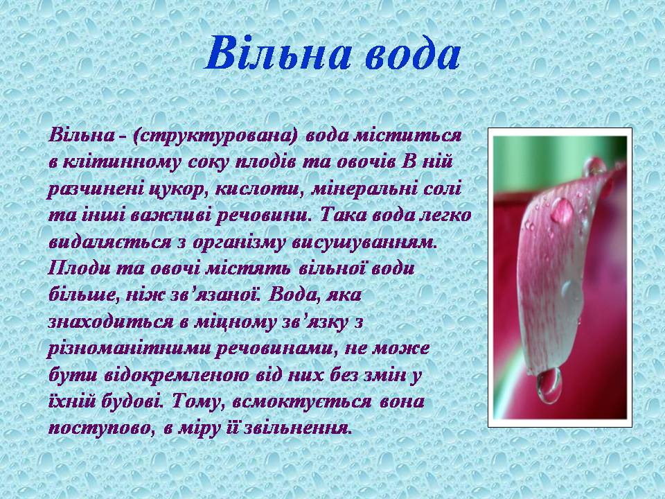Презентація на тему «Вода в організмах» (варіант 3) - Слайд #10 Презентація на тему «Вода в організмах» (варіант 3) - Слайд #10