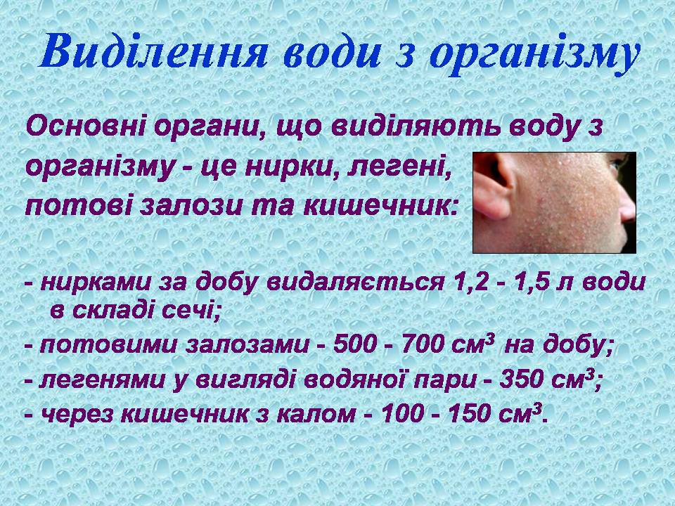 Презентація на тему «Вода в організмах» (варіант 3) - Слайд #18 Презентація на тему «Вода в організмах» (варіант 3) - Слайд #18