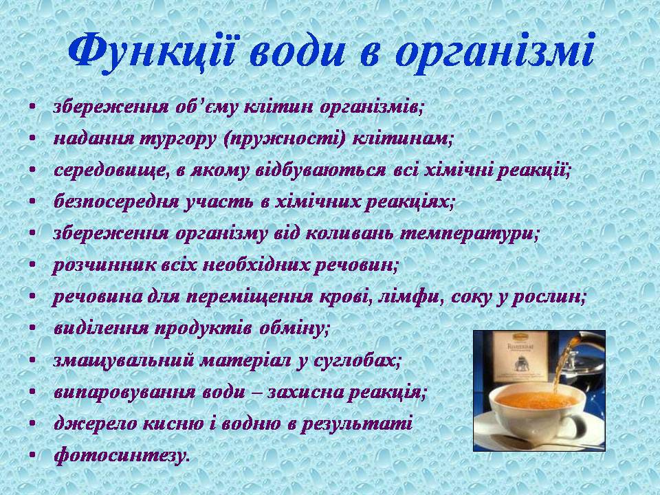 Презентація на тему «Вода в організмах» (варіант 3) - Слайд #19 Презентація на тему «Вода в організмах» (варіант 3) - Слайд #19