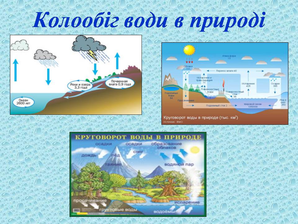 Презентація на тему «Вода в організмах» (варіант 3) - Слайд #20 Презентація на тему «Вода в організмах» (варіант 3) - Слайд #20