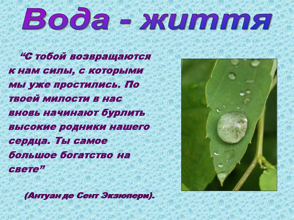 Презентація на тему «Вода в організмах» (варіант 3) - Слайд #3 Презентація на тему «Вода в організмах» (варіант 3) - Слайд #3