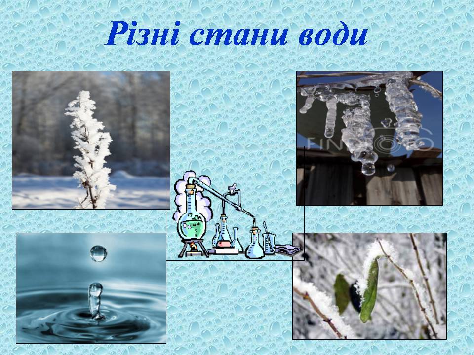 Презентація на тему «Вода в організмах» (варіант 3) - Слайд #7 Презентація на тему «Вода в організмах» (варіант 3) - Слайд #7