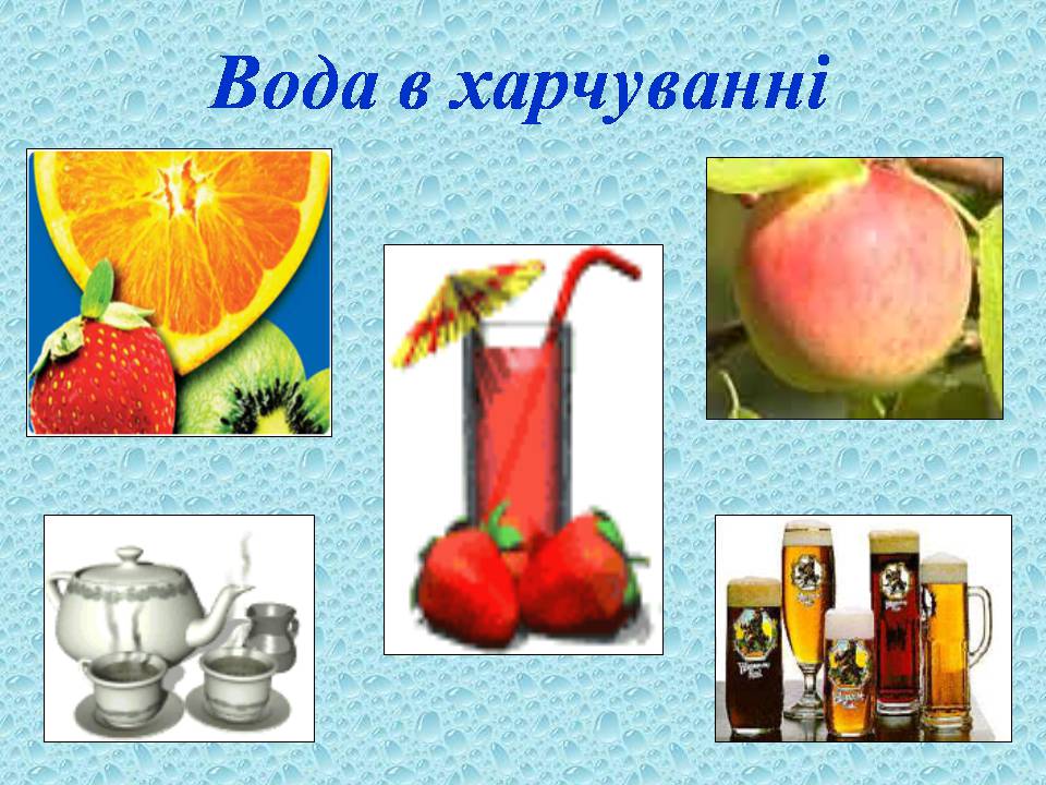 Презентація на тему «Вода в організмах» (варіант 3) - Слайд #8 Презентація на тему «Вода в організмах» (варіант 3) - Слайд #8