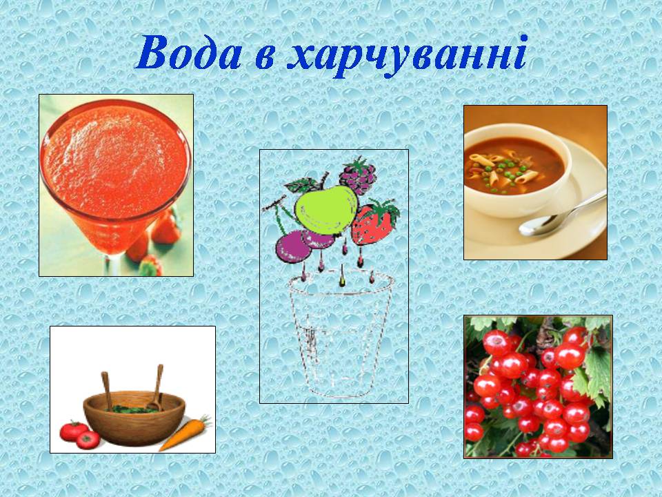 Презентація на тему «Вода в організмах» (варіант 3) - Слайд #9 Презентація на тему «Вода в організмах» (варіант 3) - Слайд #9