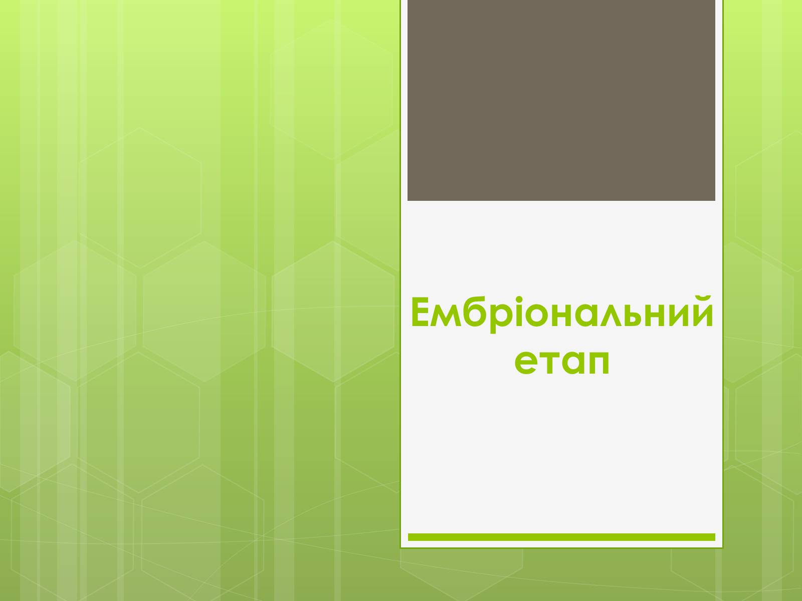 Презентація на тему «Ембріональний етап» - Слайд #1 Презентація на тему «Ембріональний етап» - Слайд #1
