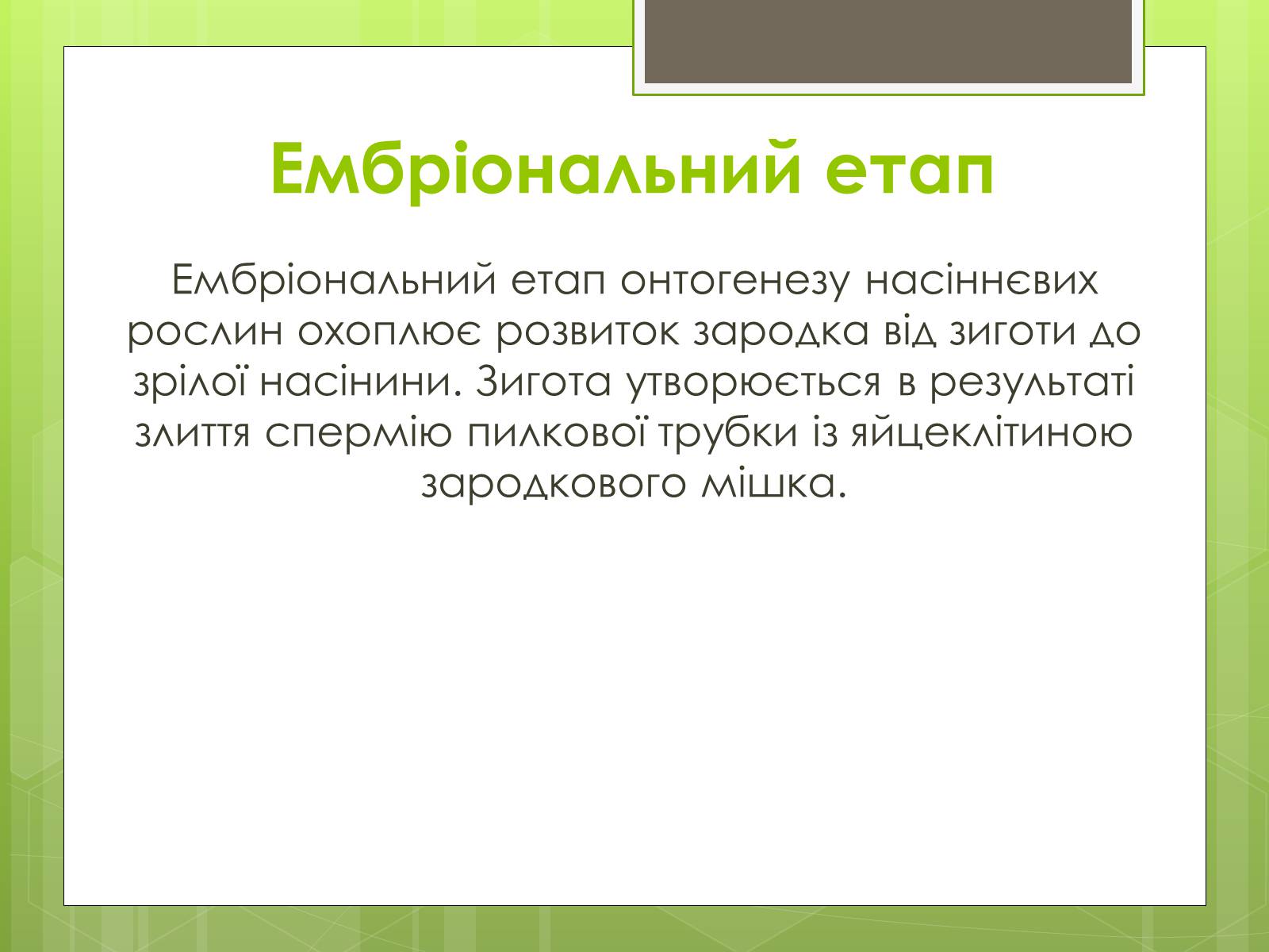 Презентація на тему «Ембріональний етап» - Слайд #5 Презентація на тему «Ембріональний етап» - Слайд #5