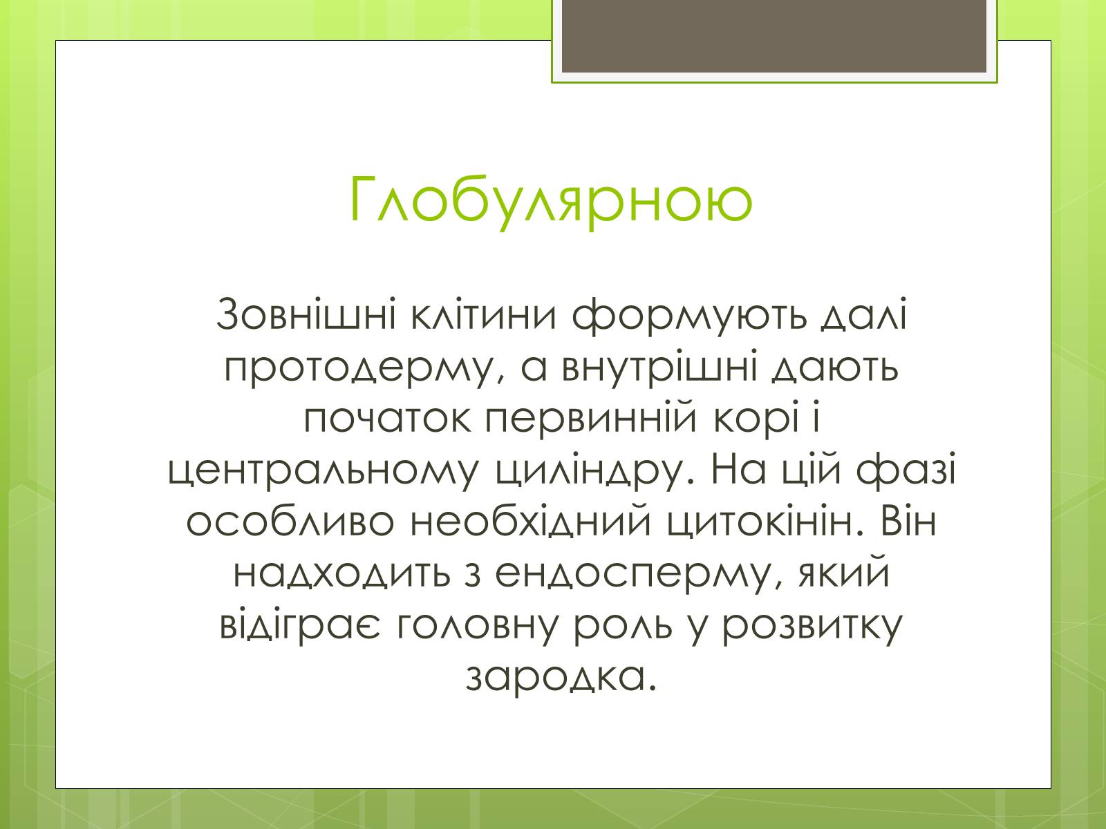 Презентація на тему «Ембріональний етап» - Слайд #7 Презентація на тему «Ембріональний етап» - Слайд #7