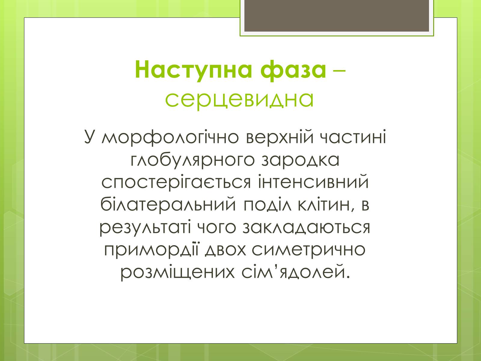 Презентація на тему «Ембріональний етап» - Слайд #8 Презентація на тему «Ембріональний етап» - Слайд #8