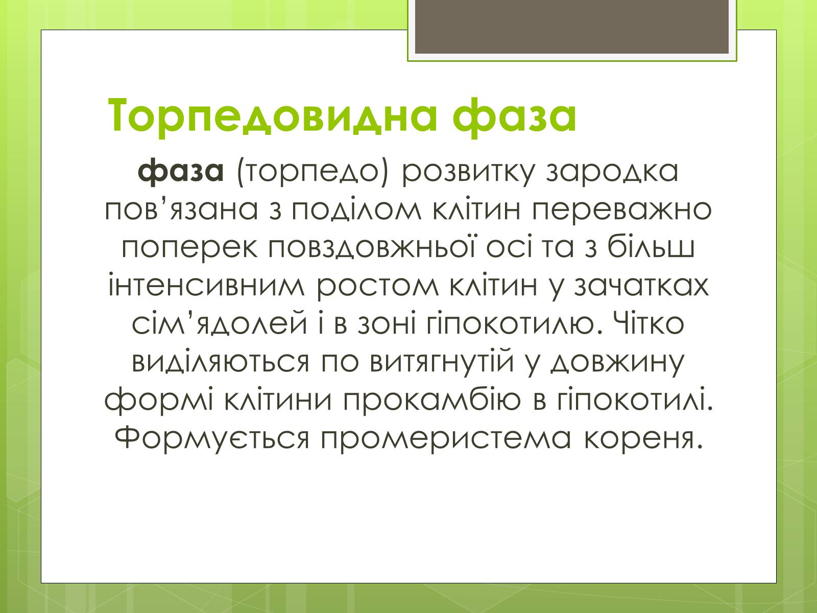 Презентація на тему «Ембріональний етап» - Слайд #9 Презентація на тему «Ембріональний етап» - Слайд #9