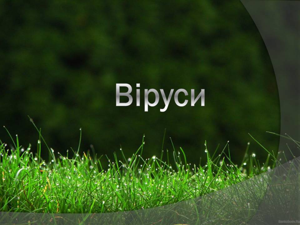 Презентація на тему «Віруси» (варіант 23) - Слайд #1 Презентація на тему «Віруси» (варіант 23) - Слайд #1
