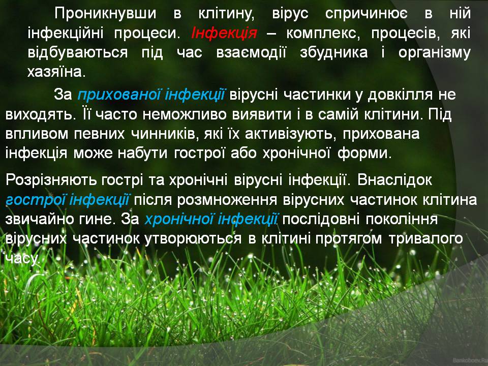Презентація на тему «Віруси» (варіант 23) - Слайд #10 Презентація на тему «Віруси» (варіант 23) - Слайд #10