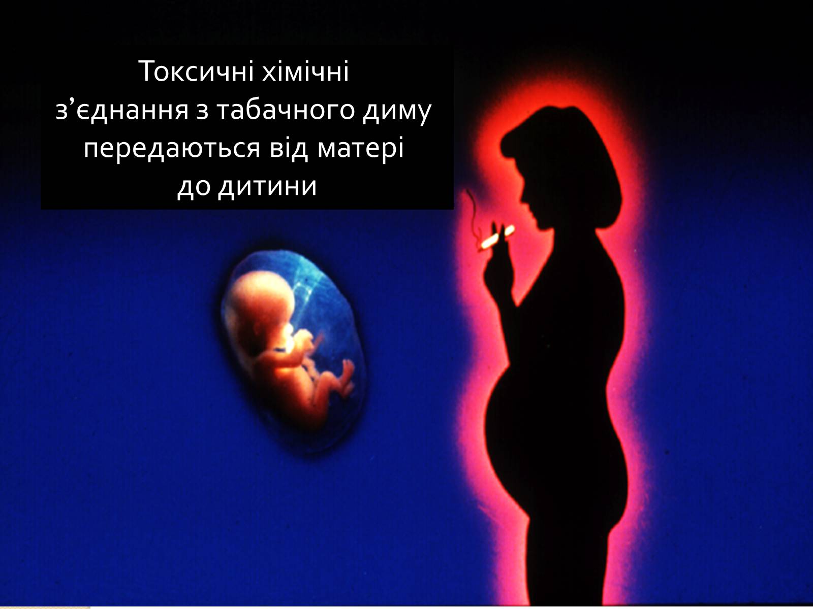Презентація на тему «Палити чи не палити?» - Слайд #16 Презентація на тему «Палити чи не палити?» - Слайд #16