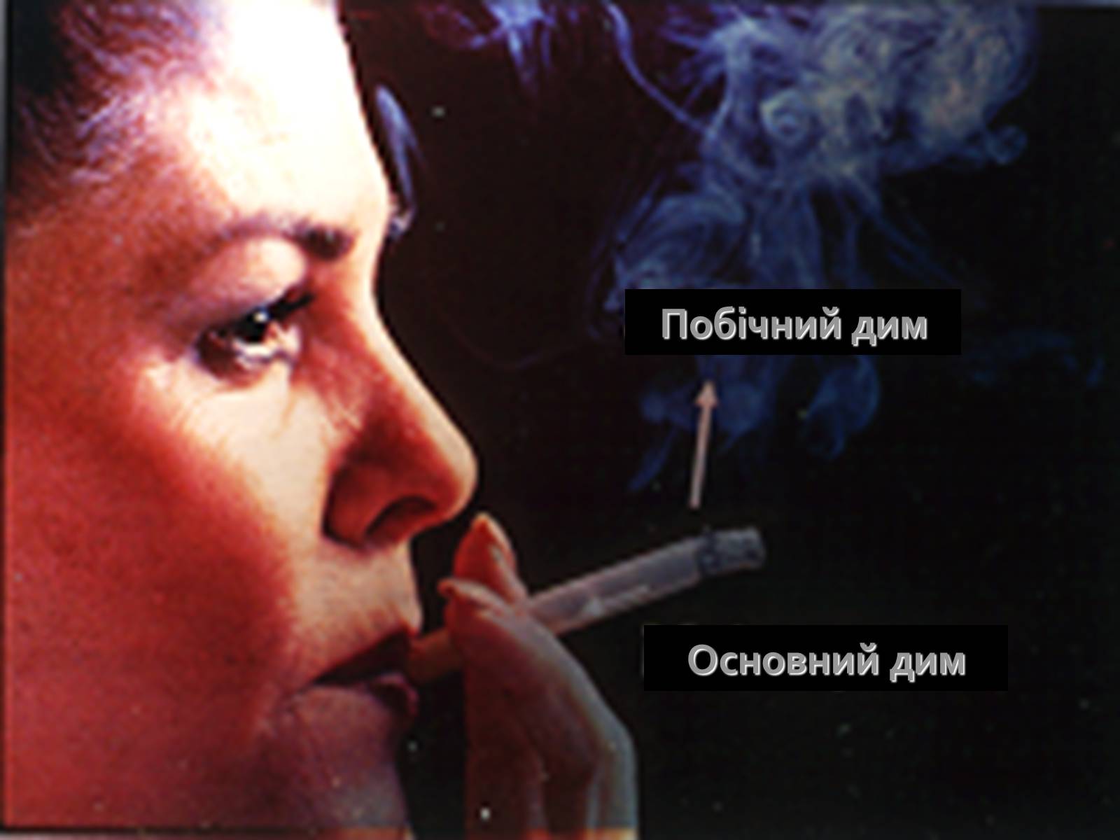 Презентація на тему «Палити чи не палити?» - Слайд #19 Презентація на тему «Палити чи не палити?» - Слайд #19