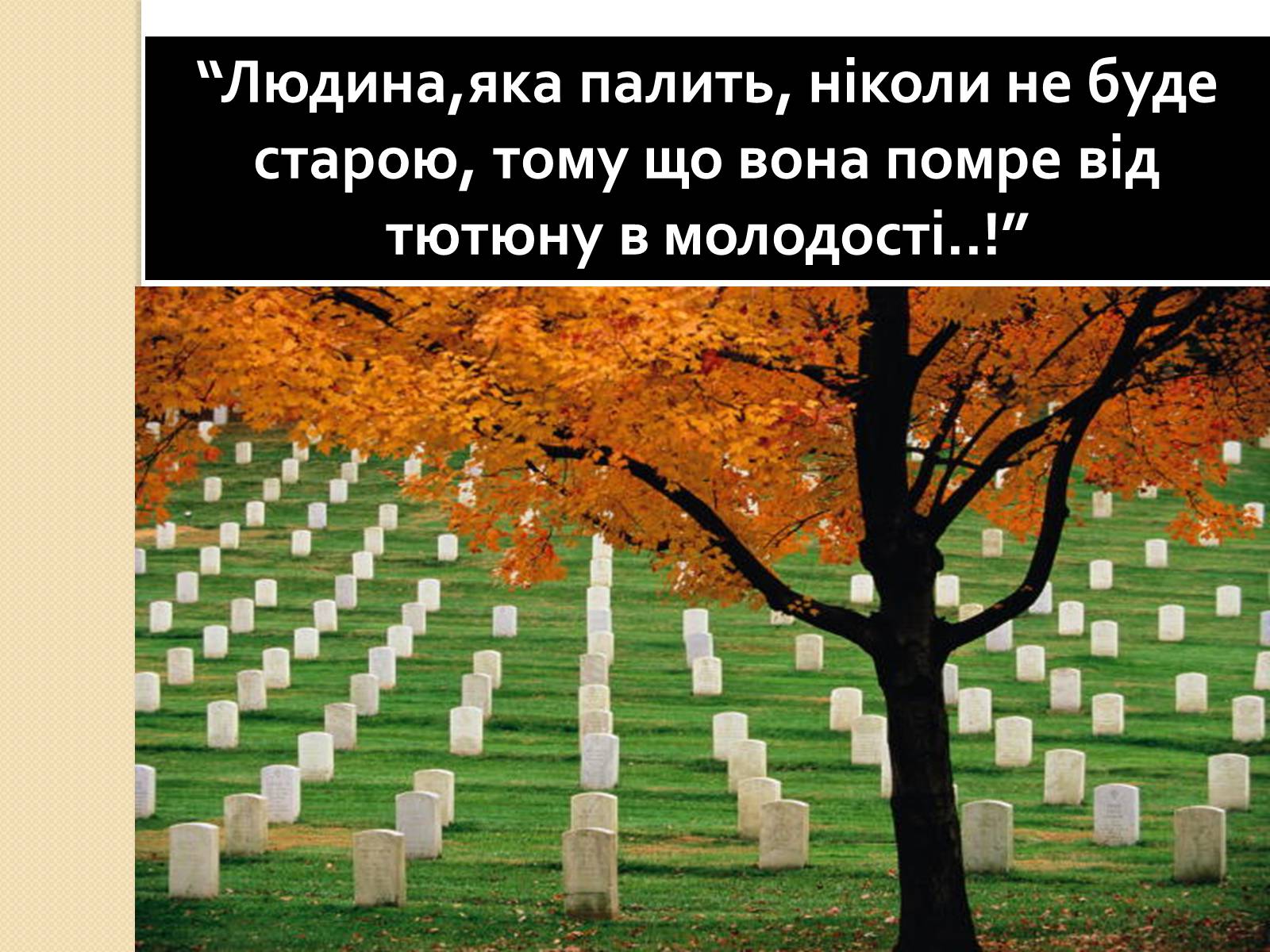 Презентація на тему «Палити чи не палити?» - Слайд #22 Презентація на тему «Палити чи не палити?» - Слайд #22