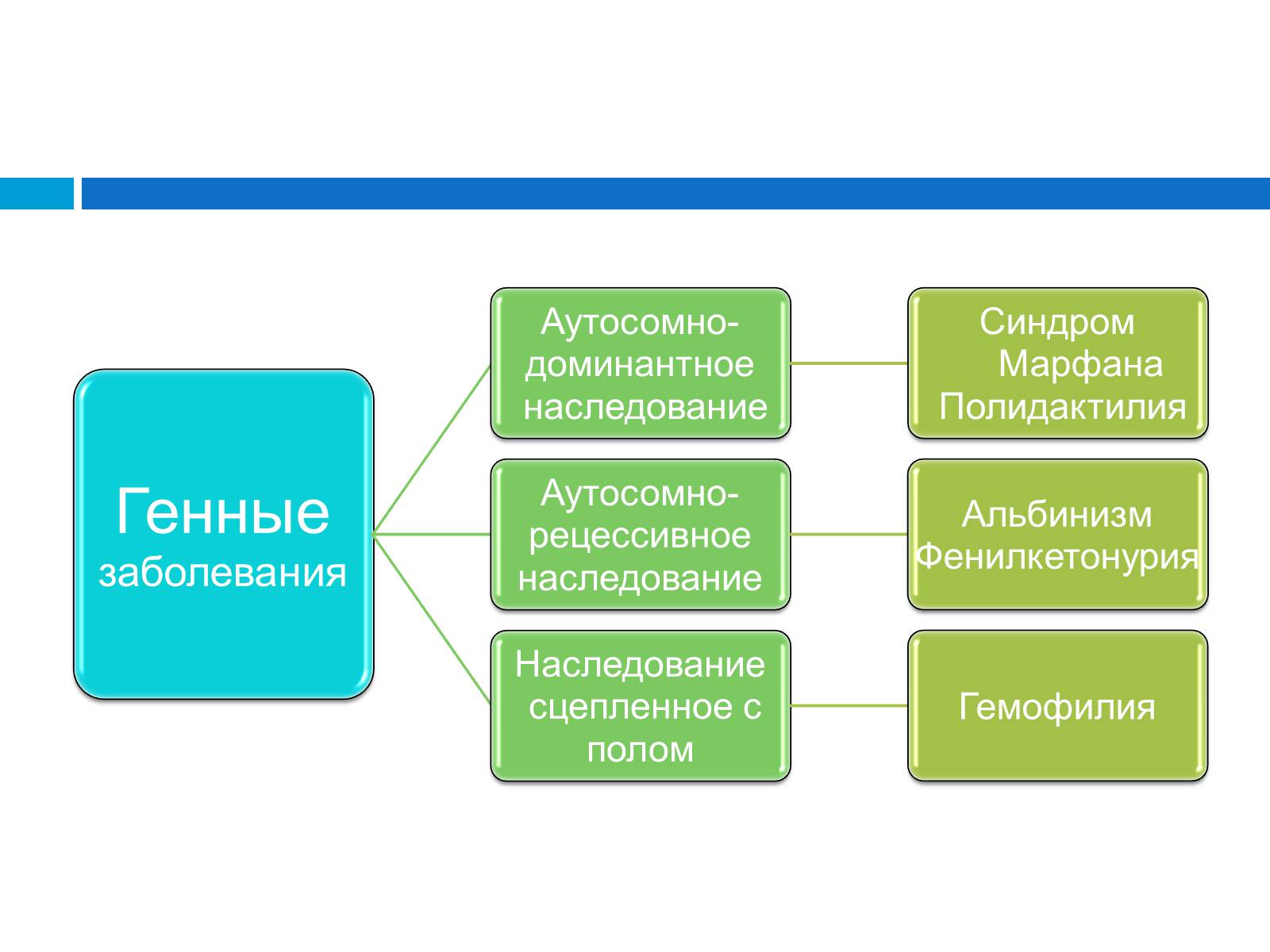 Презентація на тему «Генетика» (варіант 8) - Слайд #12 Презентація на тему «Генетика» (варіант 8) - Слайд #12