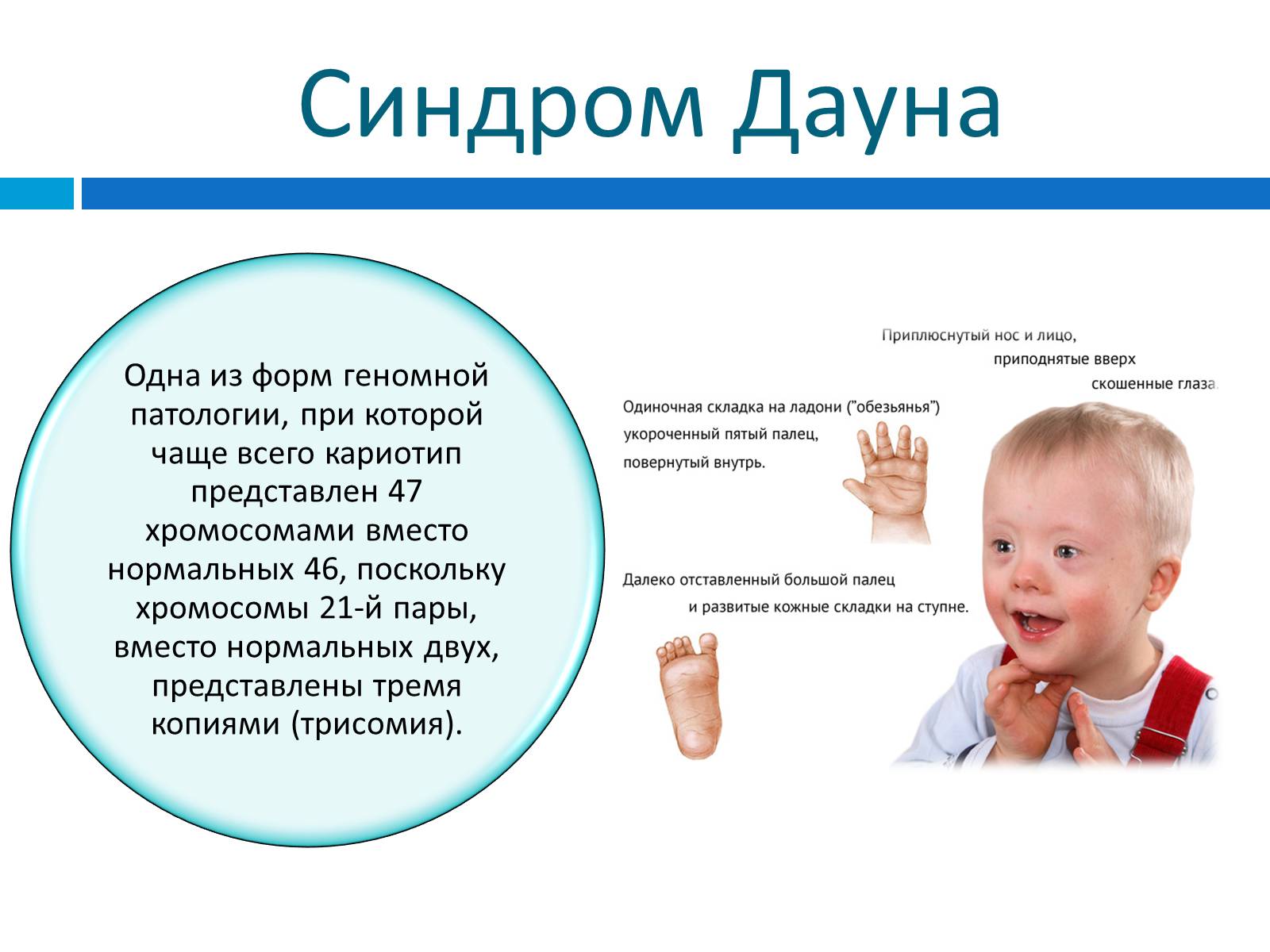 Презентація на тему «Генетика» (варіант 8) - Слайд #17 Презентація на тему «Генетика» (варіант 8) - Слайд #17
