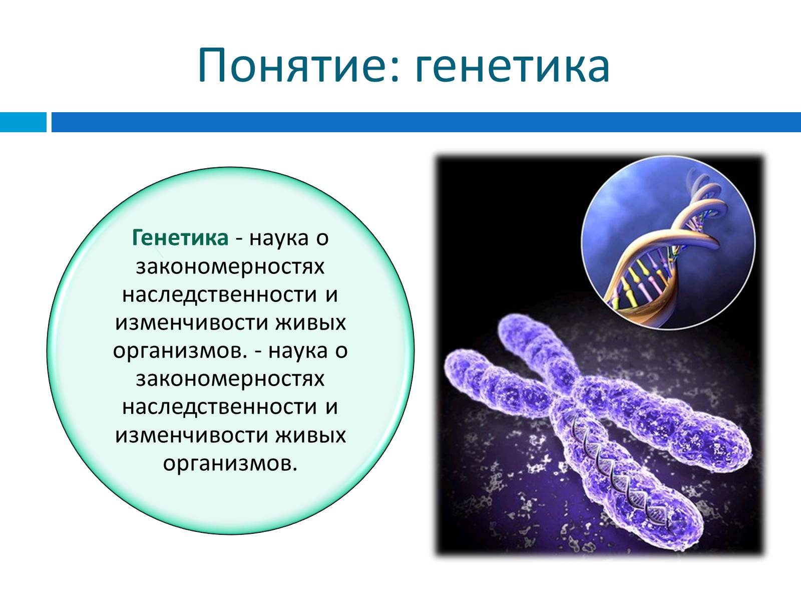 Презентація на тему «Генетика» (варіант 8) - Слайд #3 Презентація на тему «Генетика» (варіант 8) - Слайд #3