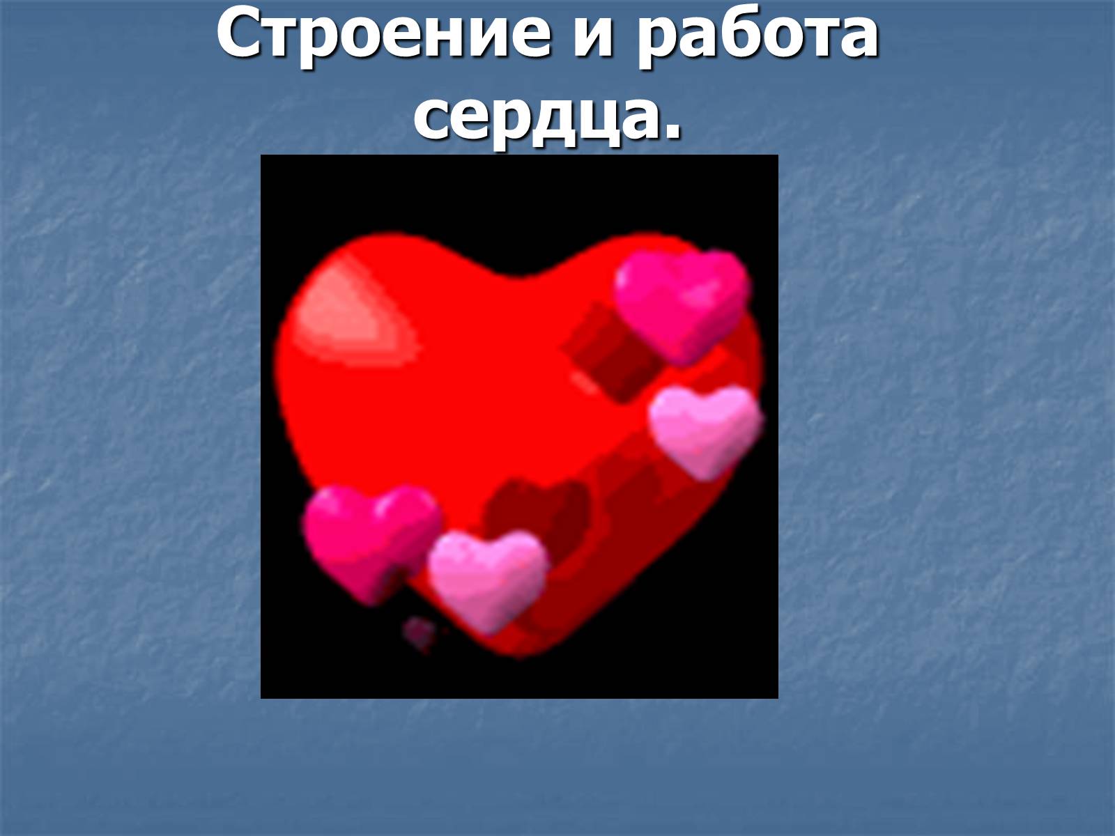 Презентація на тему «Строение и работа сердца» - Слайд #1 Презентація на тему «Строение и работа сердца» - Слайд #1