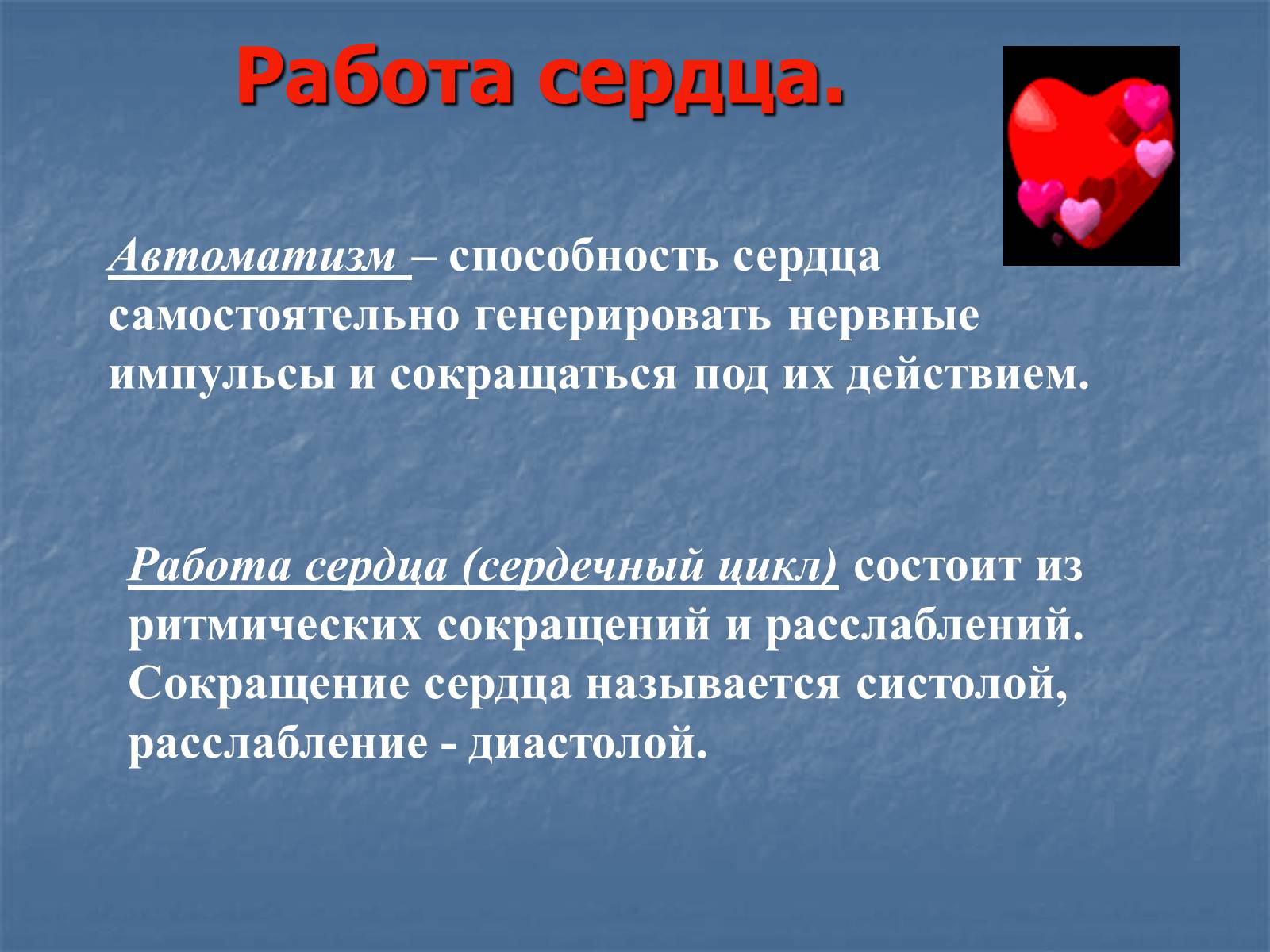 Презентація на тему «Строение и работа сердца» - Слайд #10 Презентація на тему «Строение и работа сердца» - Слайд #10