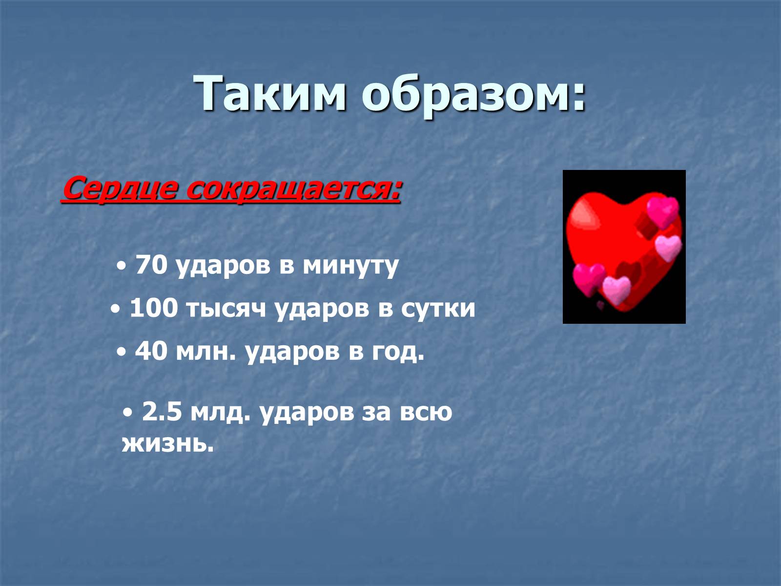 Презентація на тему «Строение и работа сердца» - Слайд #13 Презентація на тему «Строение и работа сердца» - Слайд #13