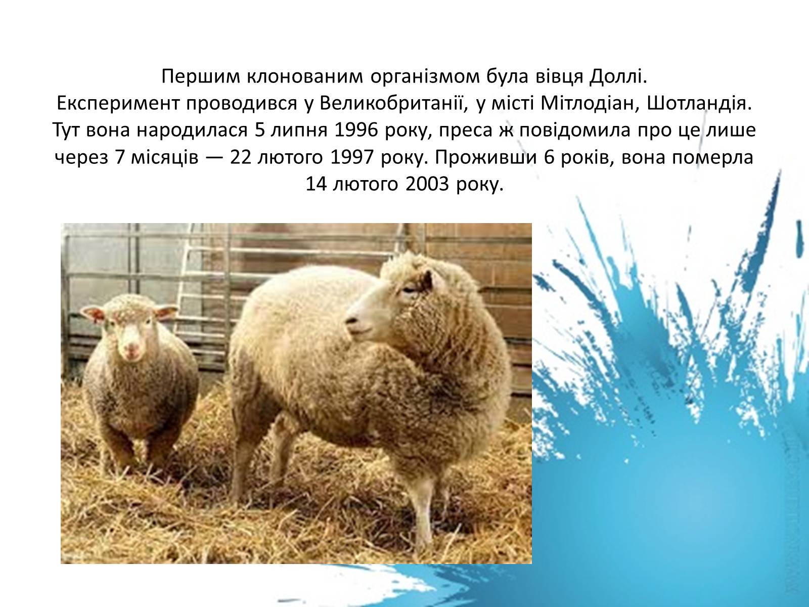 Презентація на тему «Клонування» (варіант 1) - Слайд #9 Презентація на тему «Клонування» (варіант 1) - Слайд #9