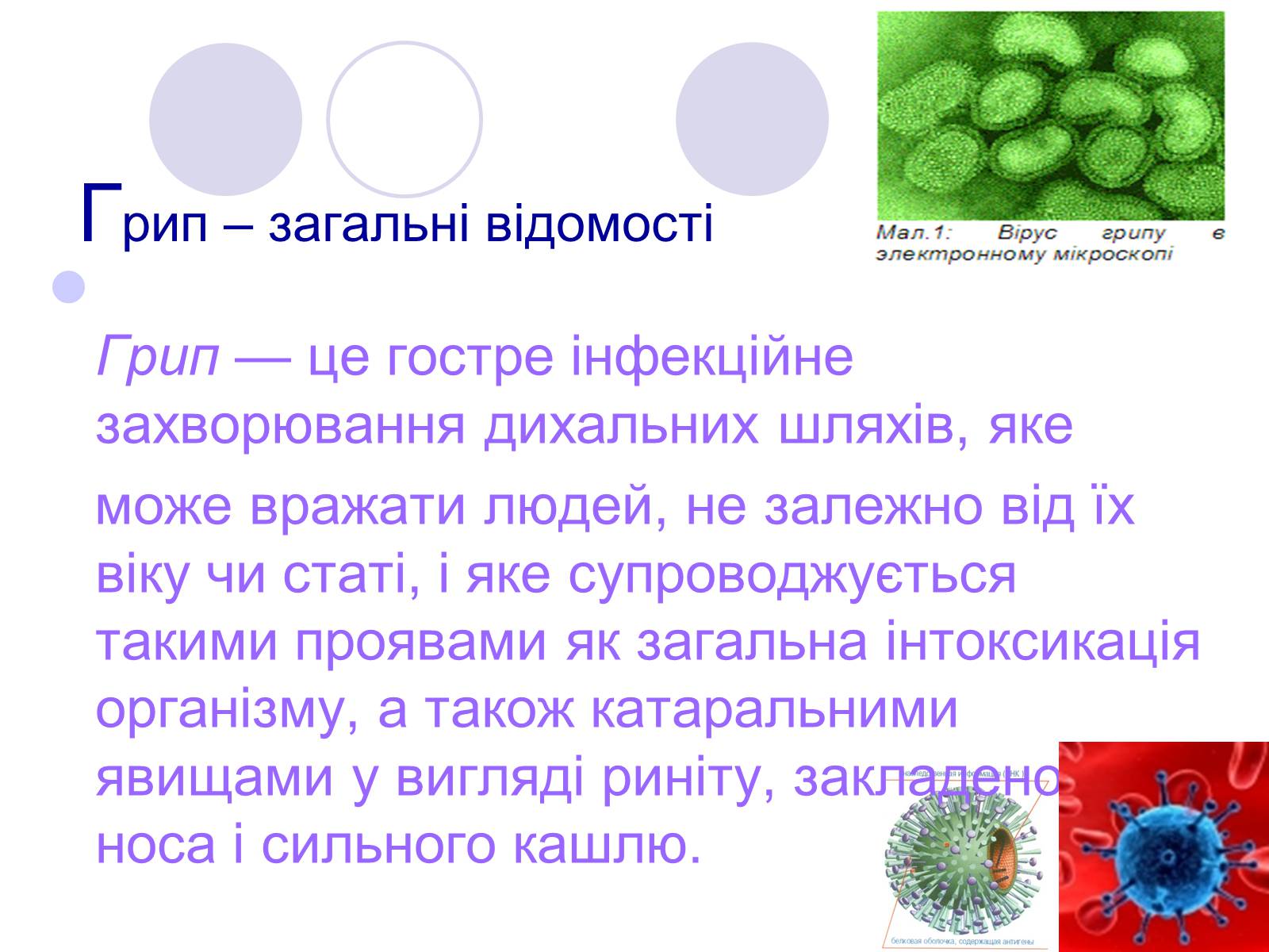 Презентація на тему «Обережно, грип!» - Слайд #2 Презентація на тему «Обережно, грип!» - Слайд #2