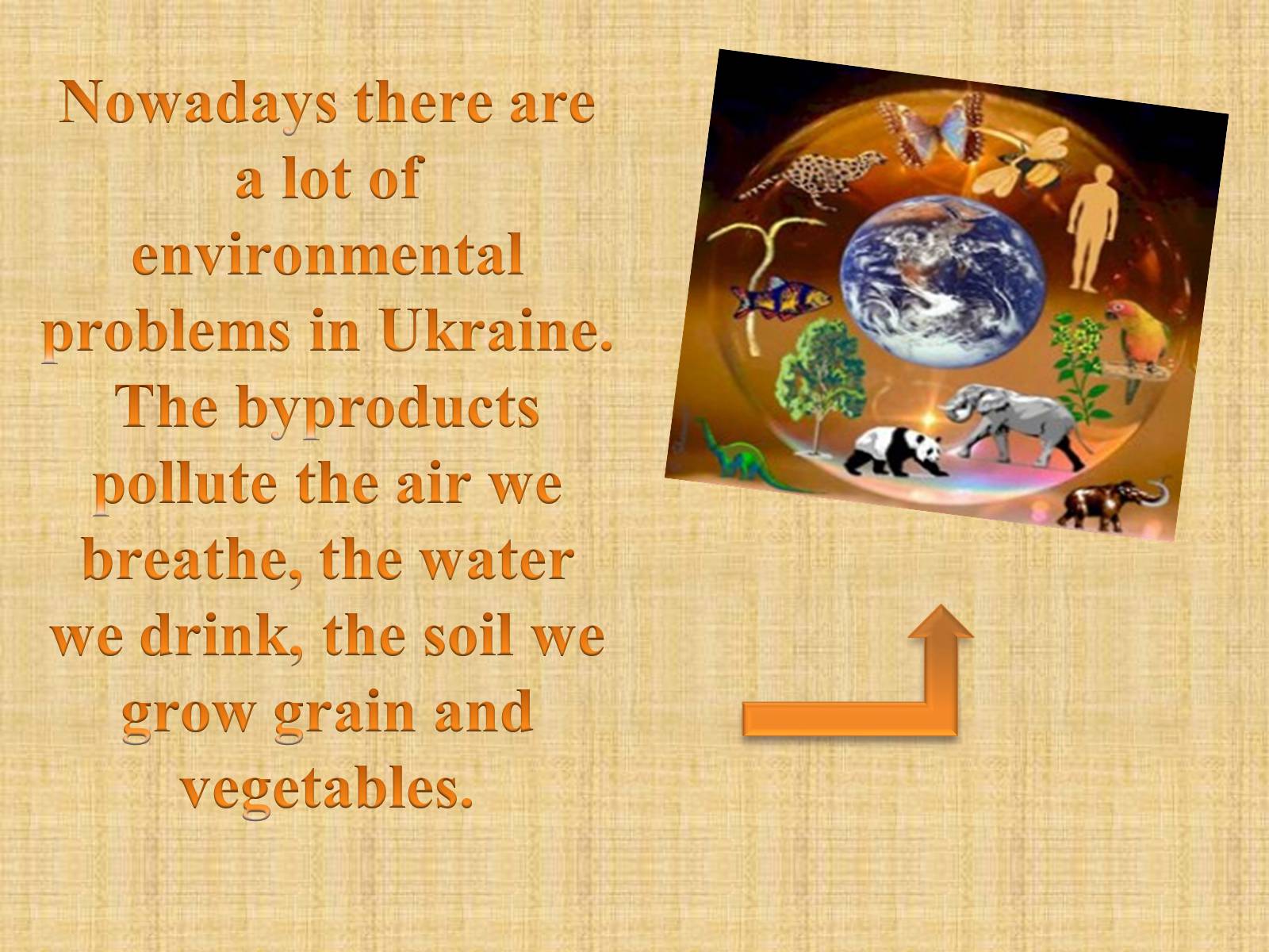 Презентація на тему «Environmental problems in Ukraine» - Слайд #2 Презентація на тему «Environmental problems in Ukraine» - Слайд #2