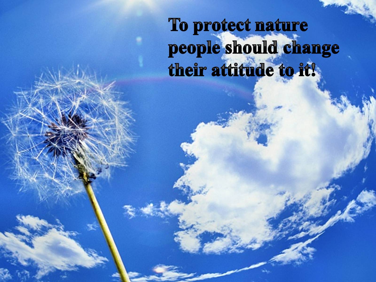 Презентація на тему «Environmental problems in Ukraine» - Слайд #9 Презентація на тему «Environmental problems in Ukraine» - Слайд #9
