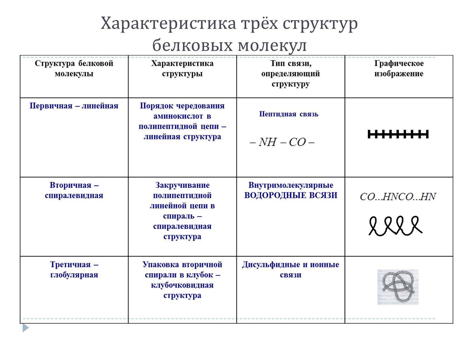 Презентація на тему «Белки» (варіант 2) - Слайд #7 Презентація на тему «Белки» (варіант 2) - Слайд #7