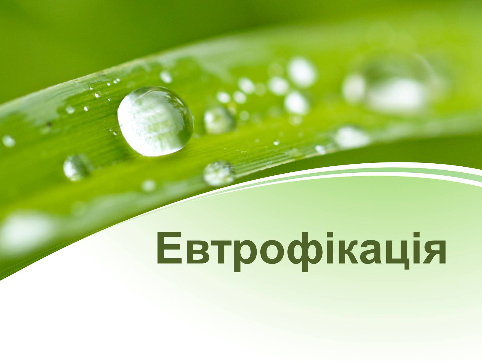 Презентація на тему «Евтрофікація» - Слайд #1 Презентація на тему «Евтрофікація» - Слайд #1