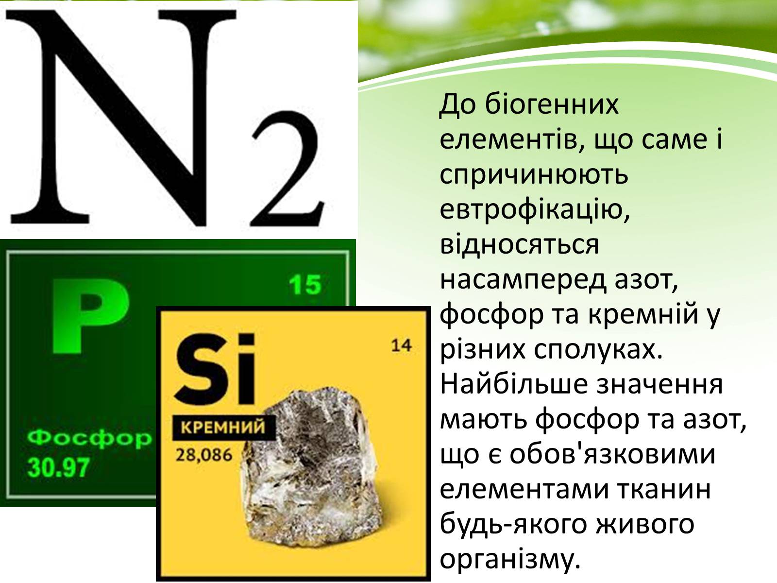 Презентація на тему «Евтрофікація» - Слайд #12 Презентація на тему «Евтрофікація» - Слайд #12