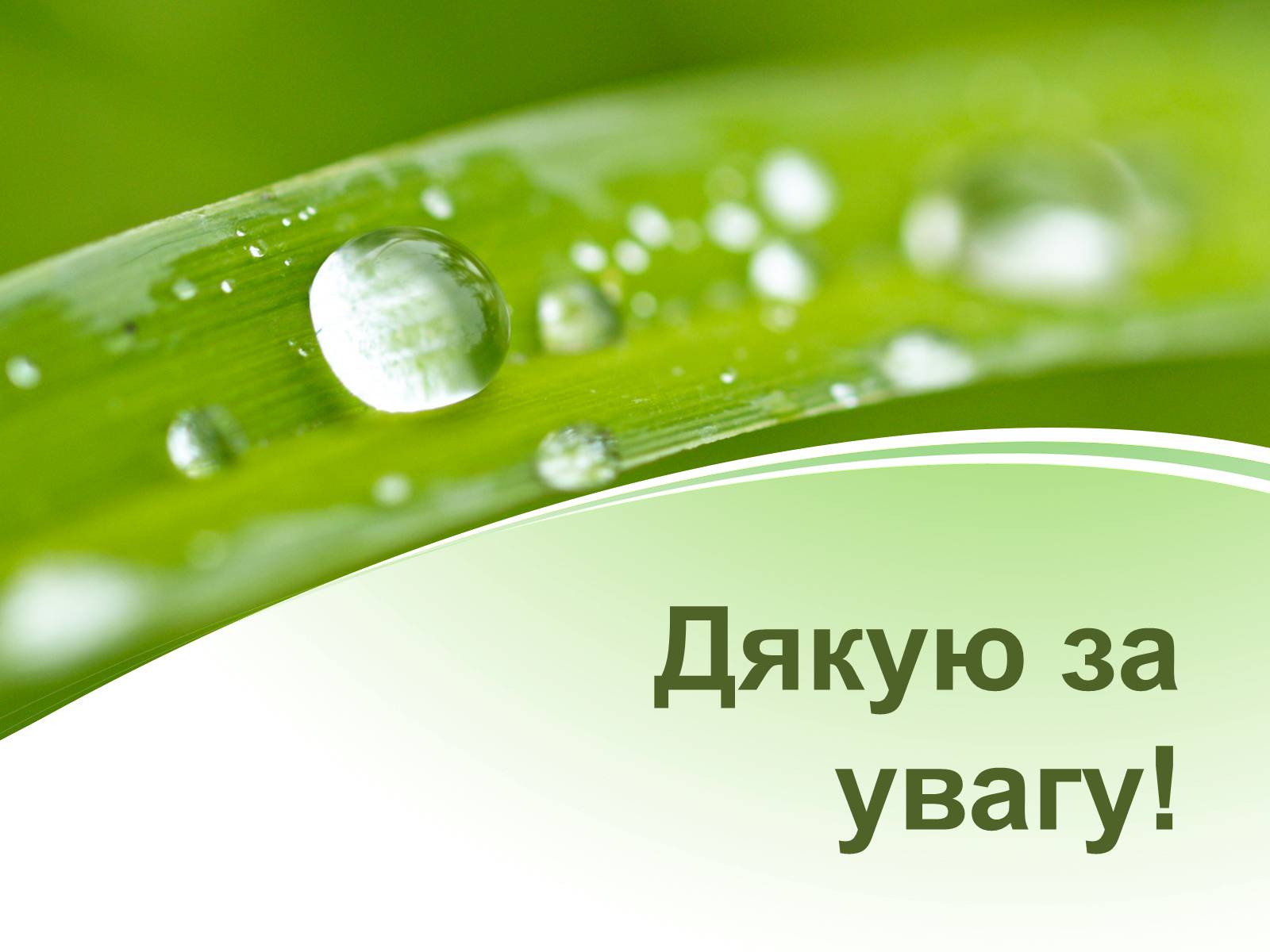 Презентація на тему «Евтрофікація» - Слайд #24 Презентація на тему «Евтрофікація» - Слайд #24