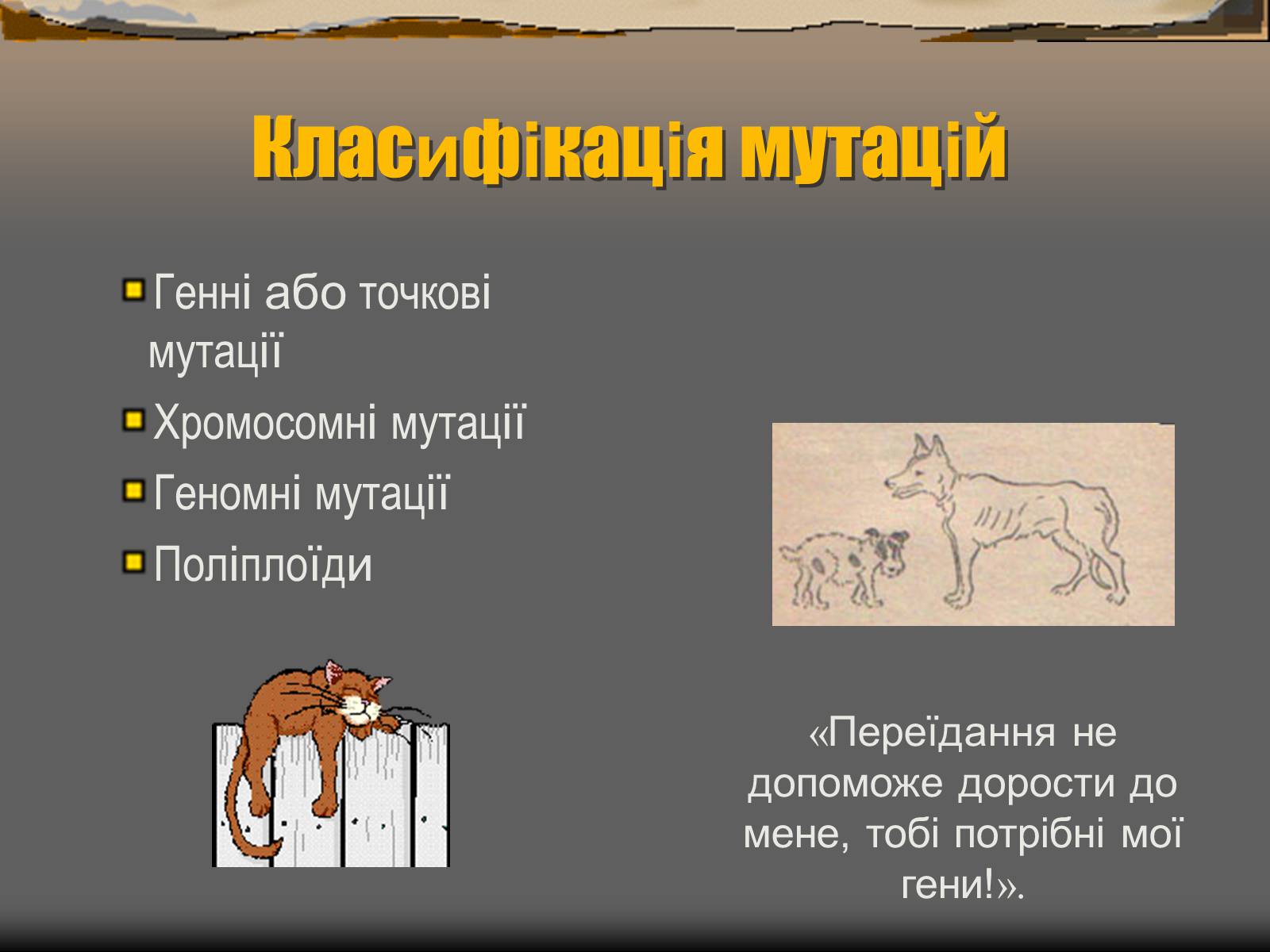 Презентація на тему «Спонтанні мутації» - Слайд #12 Презентація на тему «Спонтанні мутації» - Слайд #12