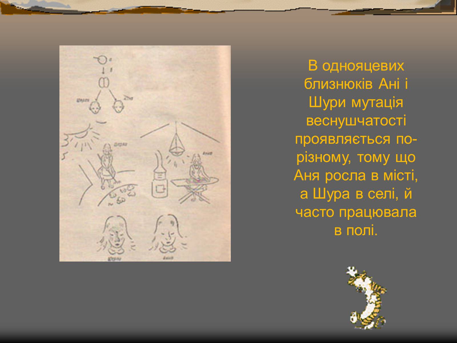 Презентація на тему «Спонтанні мутації» - Слайд #9 Презентація на тему «Спонтанні мутації» - Слайд #9