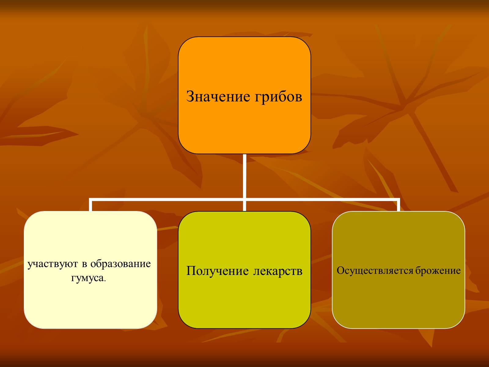 Презентація на тему «Гриби» (варіант 1) - Слайд #7