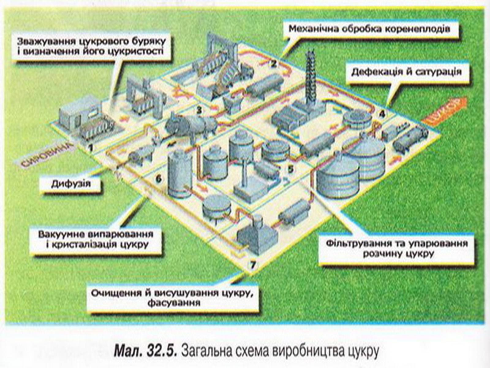 Презентація на тему «Добування сахарози» - Слайд #9 Презентація на тему «Добування сахарози» - Слайд #9