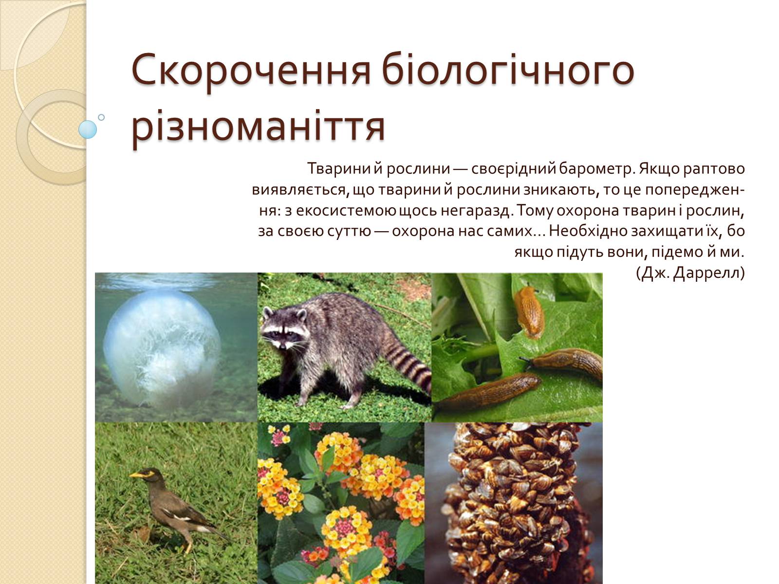 Презентація на тему «Скорочення біологічного різноманіття» - Слайд #1 Презентація на тему «Скорочення біологічного різноманіття» - Слайд #1