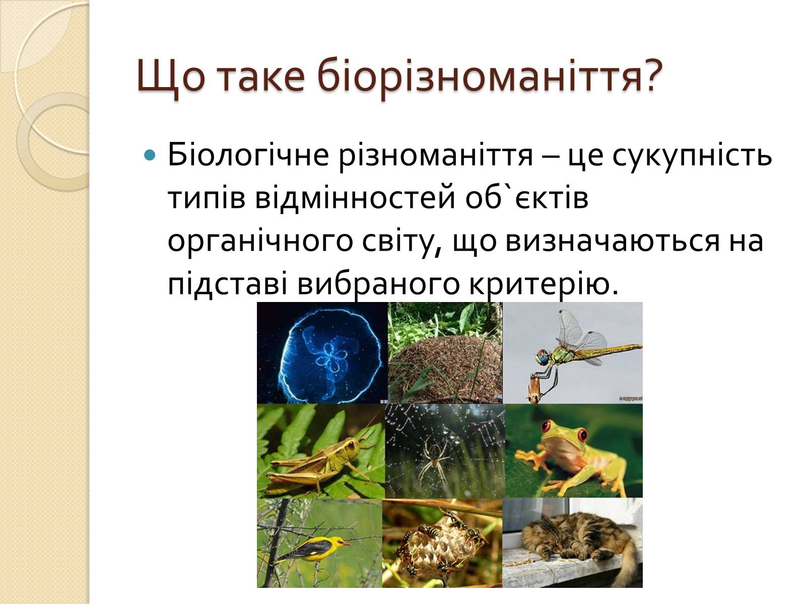 Презентація на тему «Скорочення біологічного різноманіття» - Слайд #2 Презентація на тему «Скорочення біологічного різноманіття» - Слайд #2