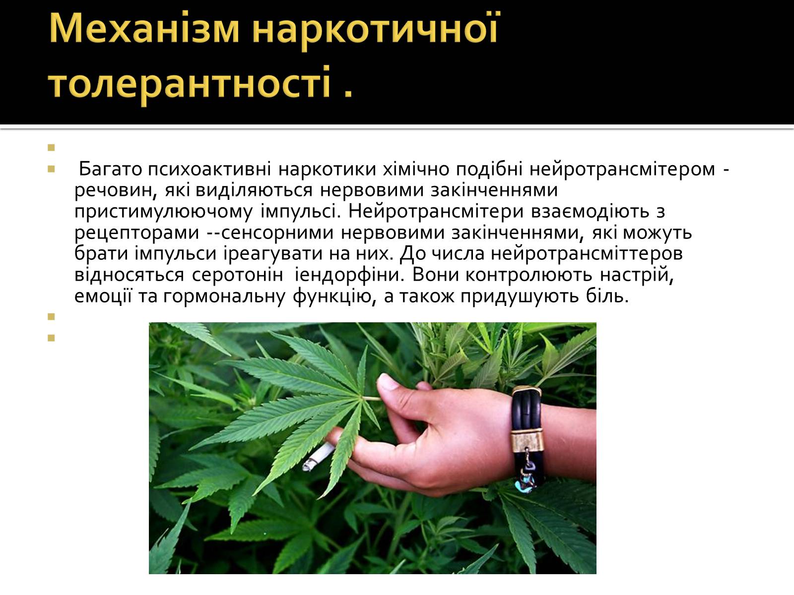 Презентація на тему «Вплив наркотиків на здоров’я людини» (варіант 2) - Слайд #8 Презентація на тему «Вплив наркотиків на здоров’я людини» (варіант 2) - Слайд #8