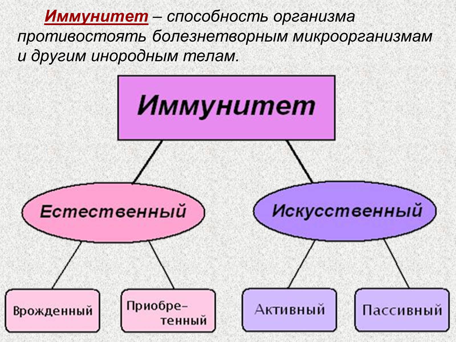 Презентація на тему «Внутренняя среда организма» (варіант 1) - Слайд #13 Презентація на тему «Внутренняя среда организма» (варіант 1) - Слайд #13