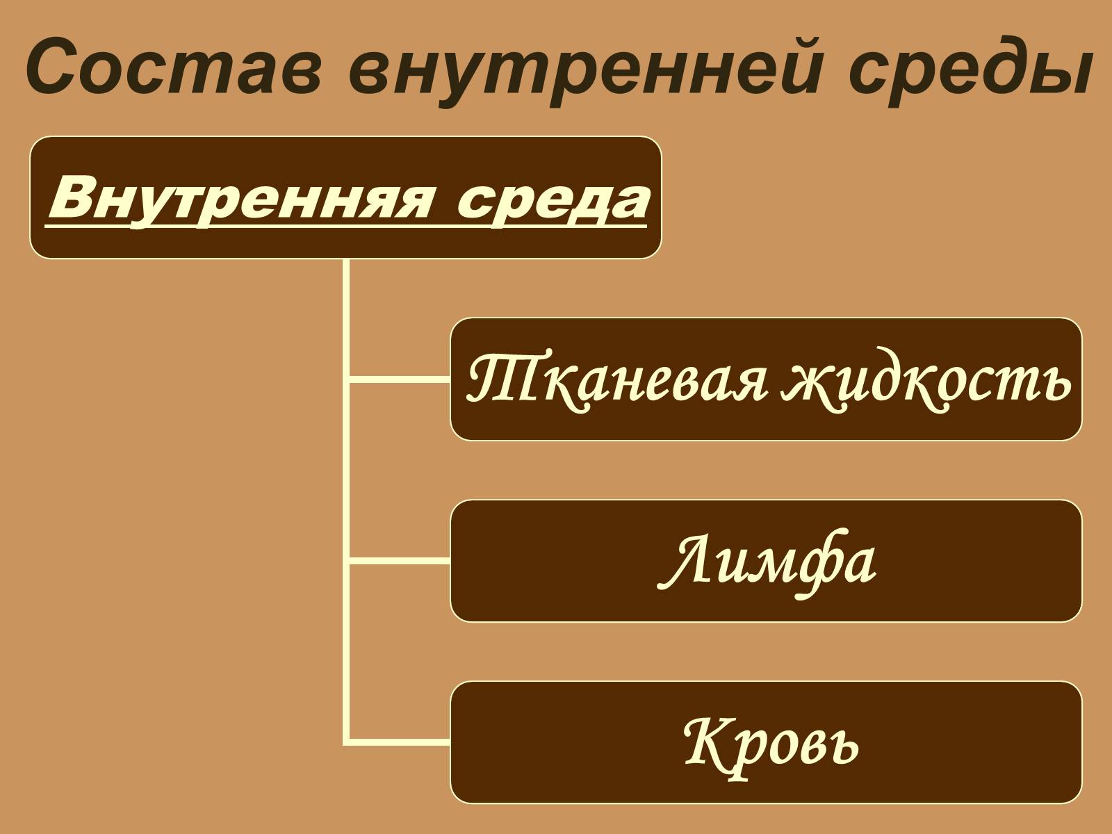 Презентація на тему «Внутренняя среда организма» (варіант 1) - Слайд #2 Презентація на тему «Внутренняя среда организма» (варіант 1) - Слайд #2